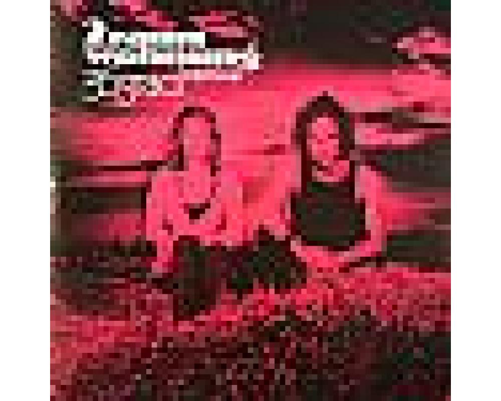 2raumwohnung - 36°Remix album (paul van dyk - martin buttrich - gabriel ananda)