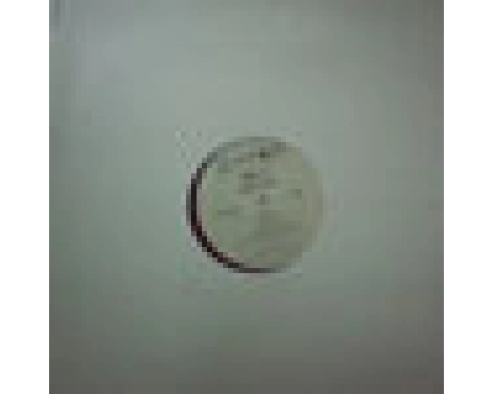 del 5 - lightspeed