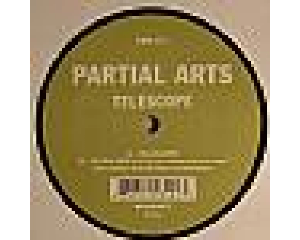 partial arts - telescope (radioslave remix)