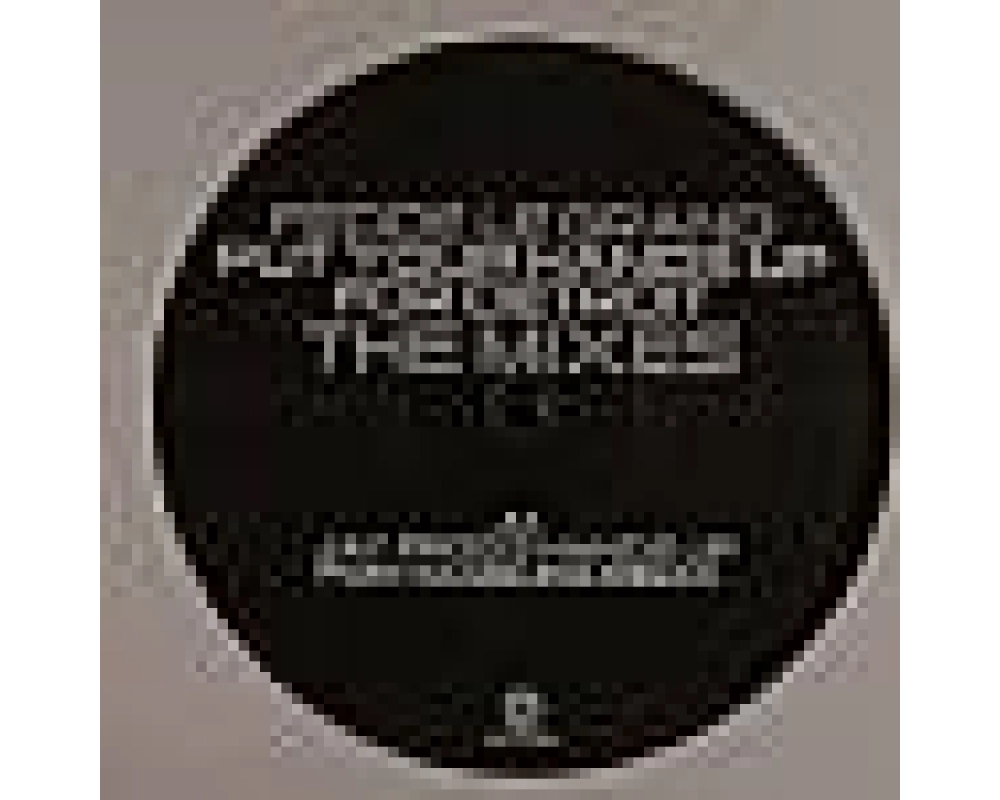 fedde le grand - put your hands up for detroit (rmx2)
