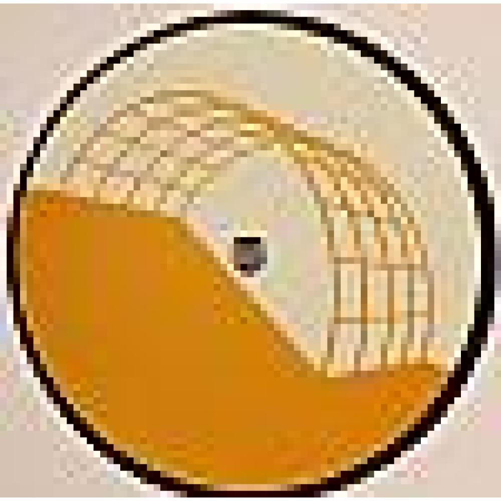 alexander roland - auftrieb