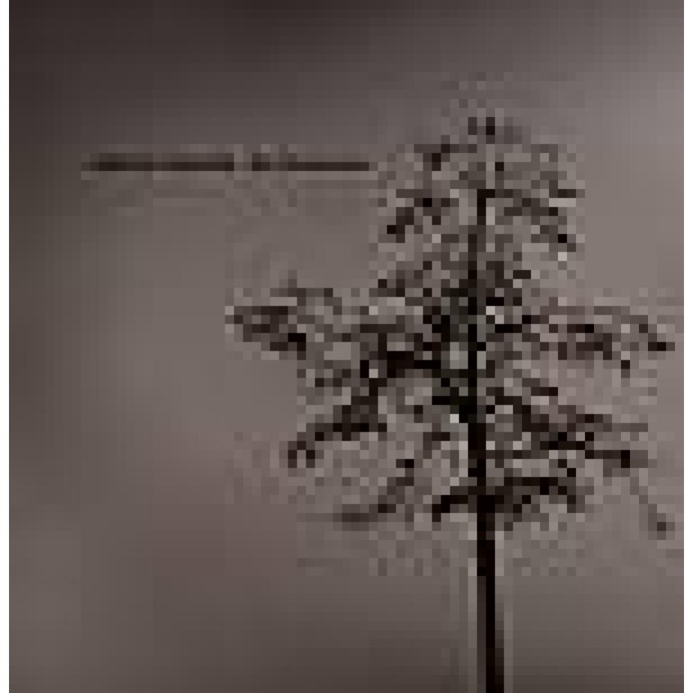 Gabriel Ananda - Bambusbeats