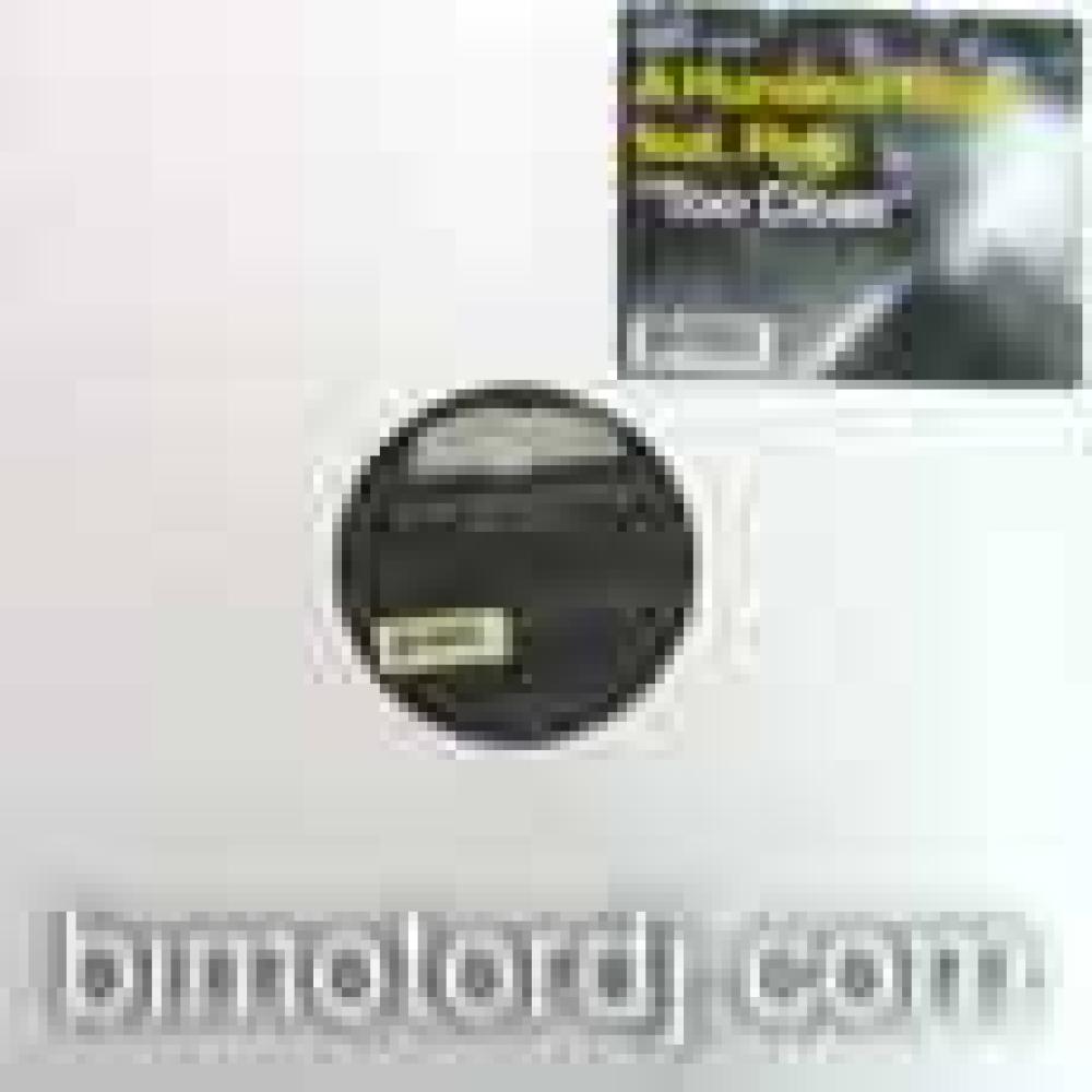 a hundred the birds ft regi - too close