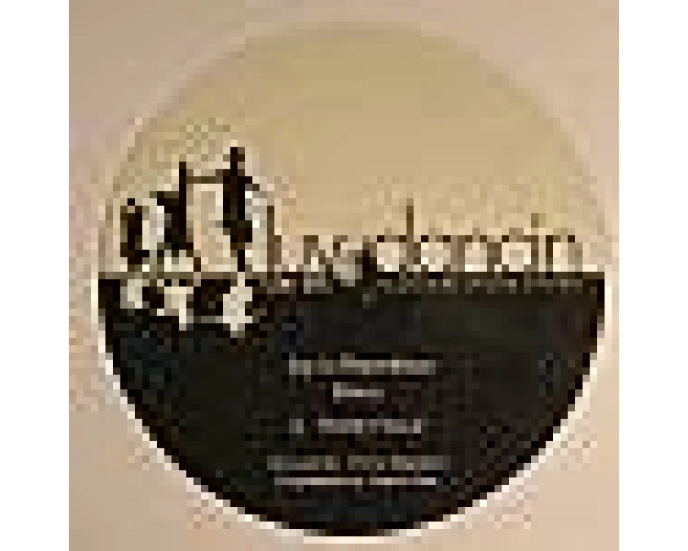 Prince - Joy In Repetition (Shelter Vocal rmx)