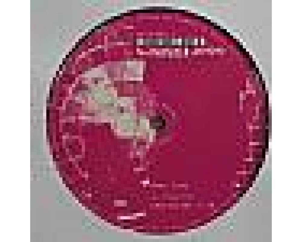 Monk Ponk - Plastic Obsessions