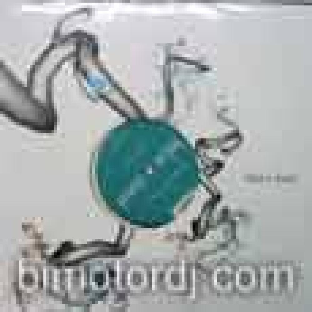 agaric lawrence - virke