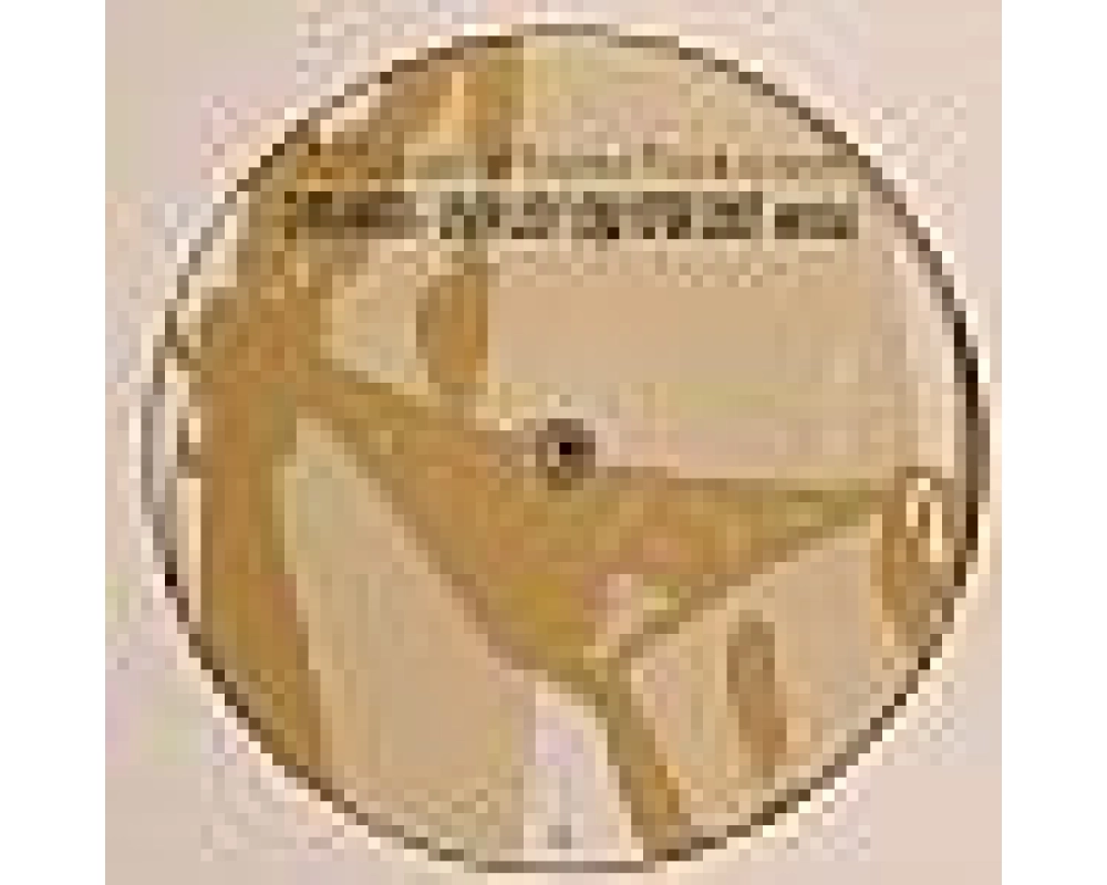 house whores - dreamer - dude - ice ice baby (2007 rmx)