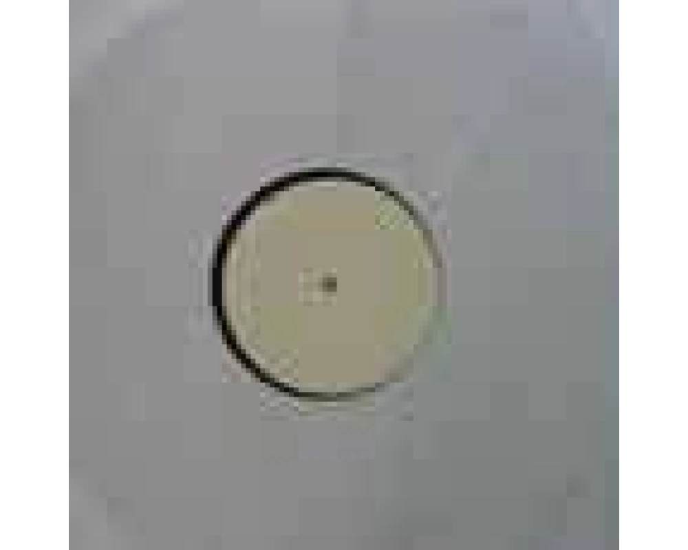 Robbie Williams - Lovelight remixes