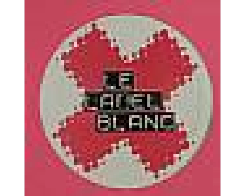 Steve Shine - I Believe (Celvine Rotaine)