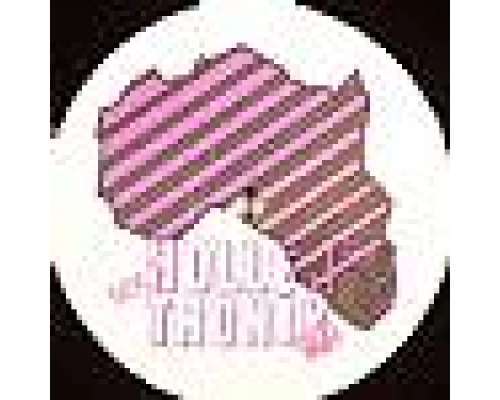 Diplo - Buraka Som Sistema - Radioclit - Znobia - Hollertronix 9 Ep