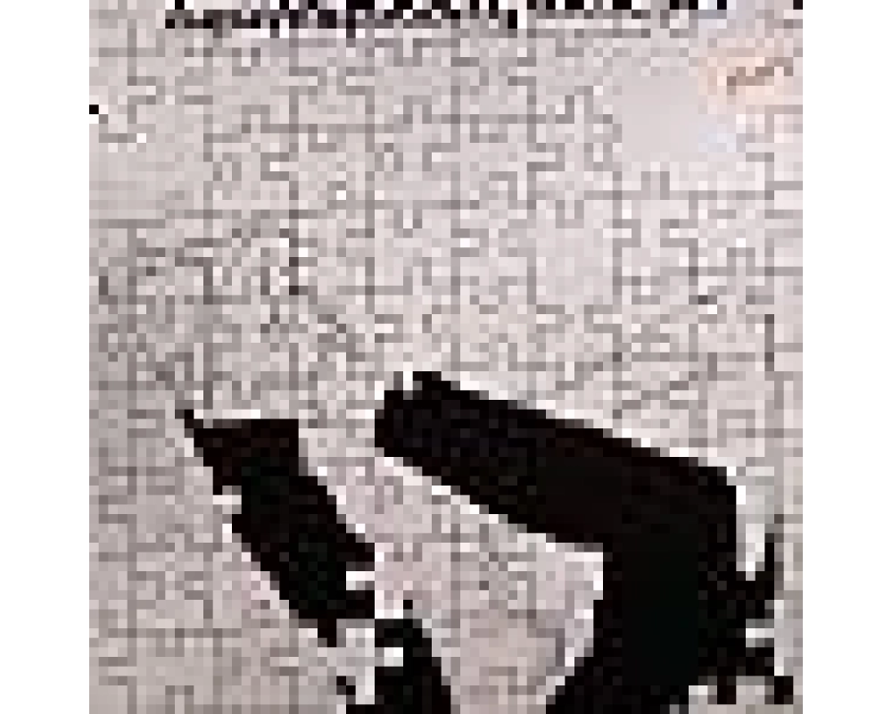 Dapayk & Padberg - Black Beauty (Dapayk & G.schneider Rmxs)