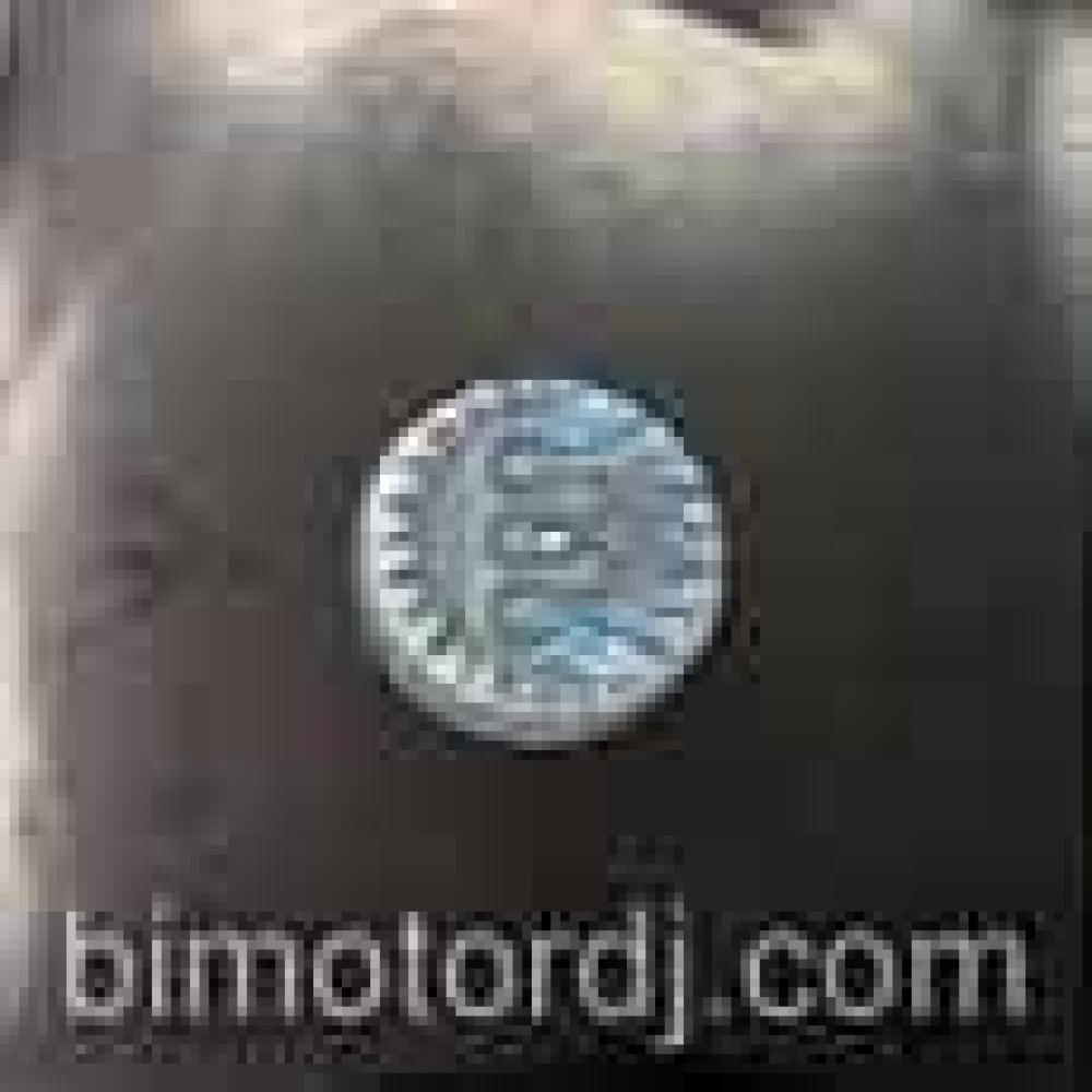 LM Connection - Jungle Urbano