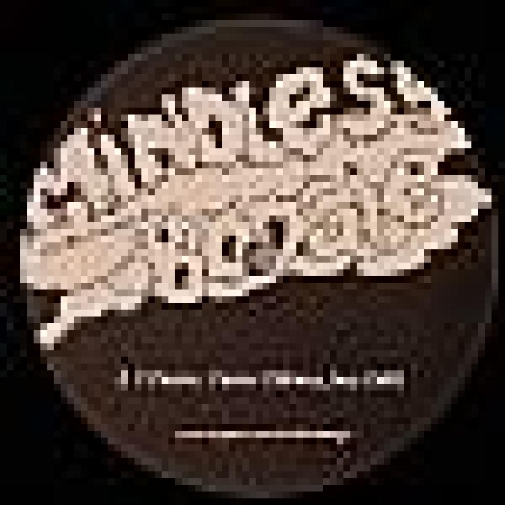 Skinny Joey - Faster, Faster