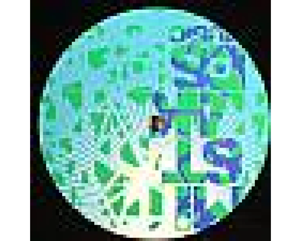 Sebastien Leger - Marina - Jungle