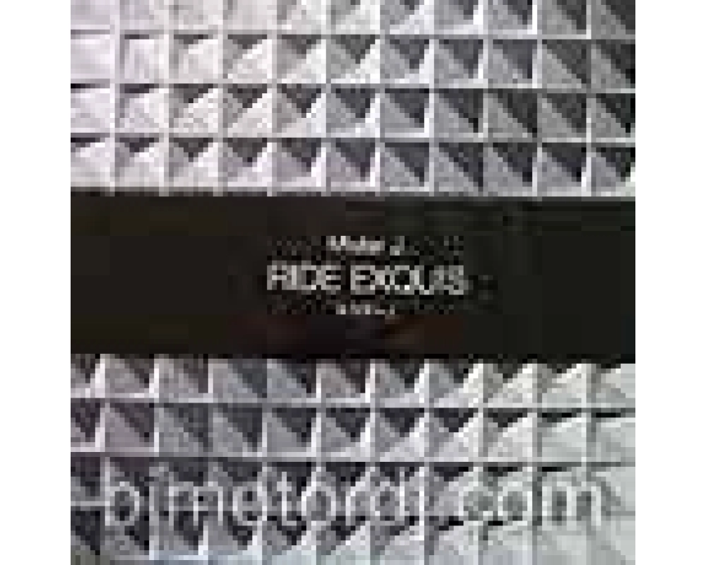 mister j - ride exquis