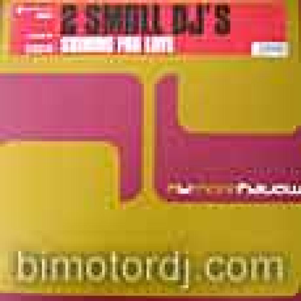 2 small djs - shining for love