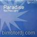 paradise - see the light