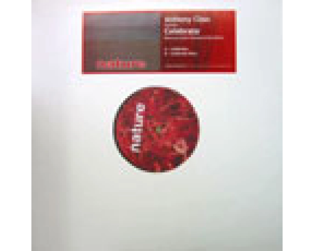 anthony class - celebrete