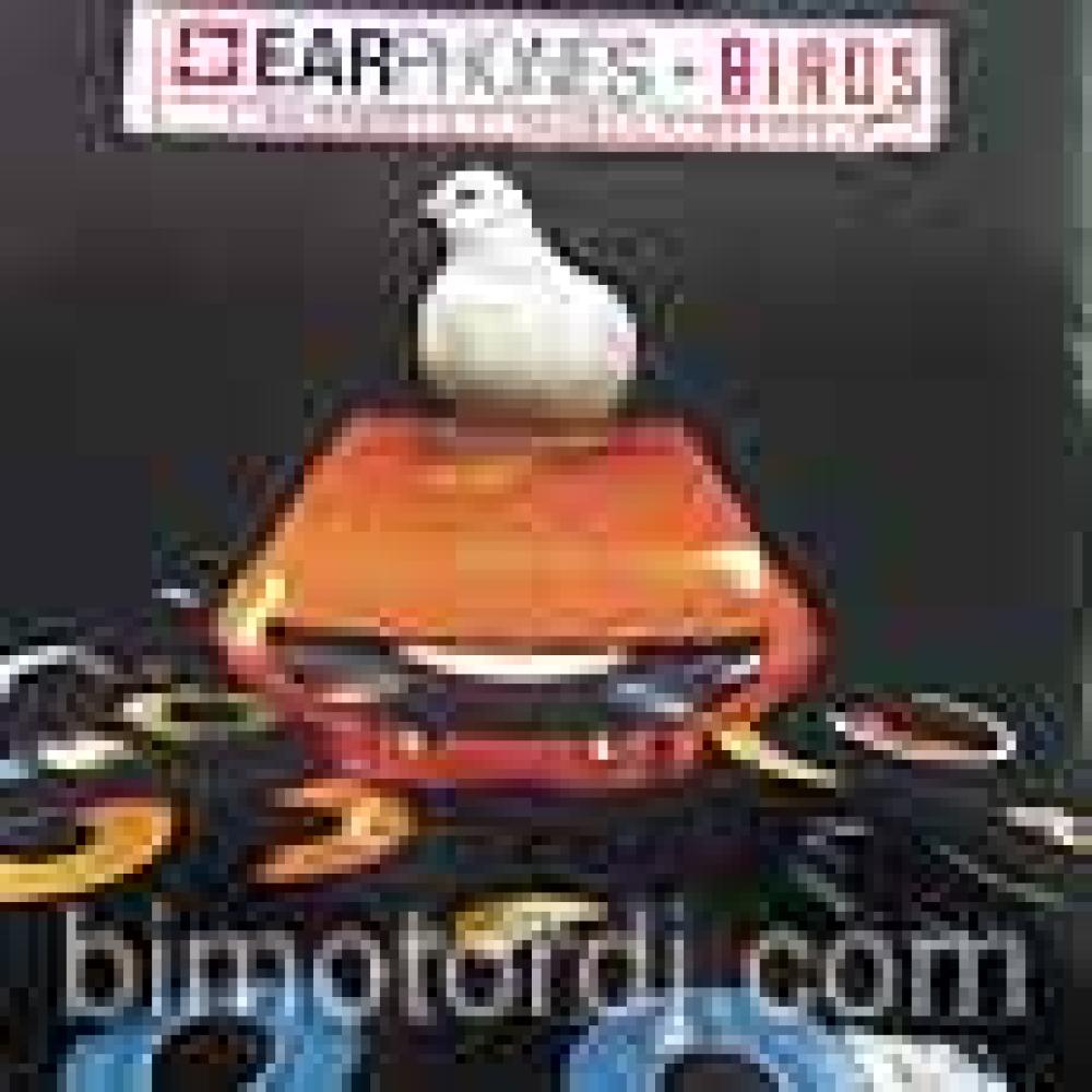 earphone - birds