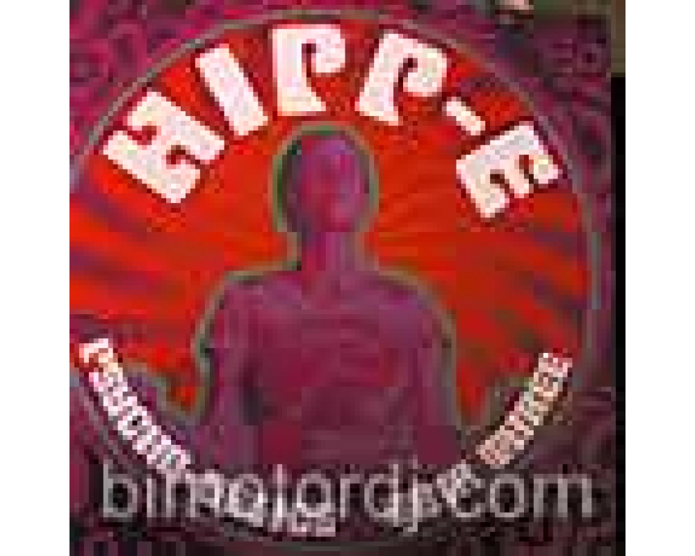 Hipp-e - Psycho-Delics Trip Three