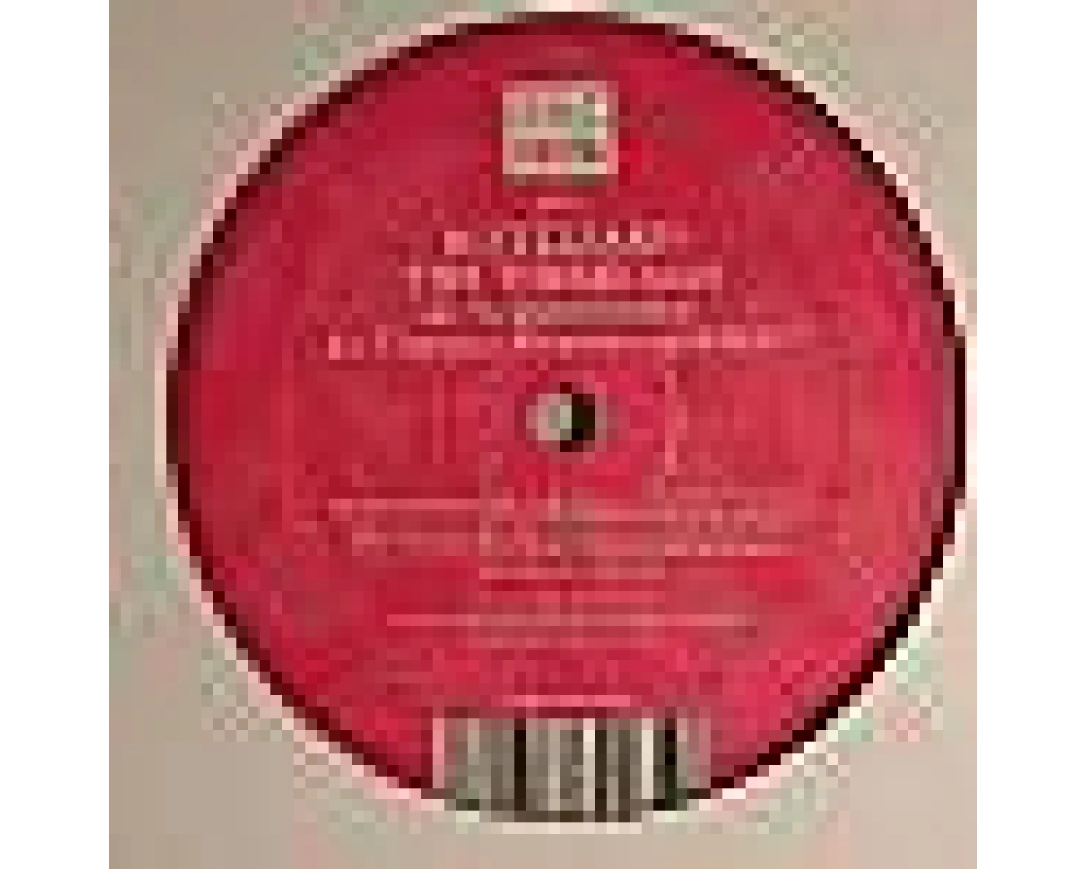 Hot Lizard - The Theme (Charles Webster - Carl Craig Remixes)