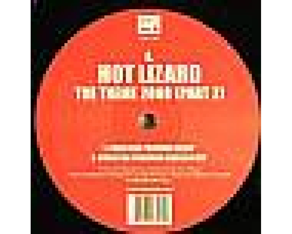 Hot Lizard - The Theme Remixes