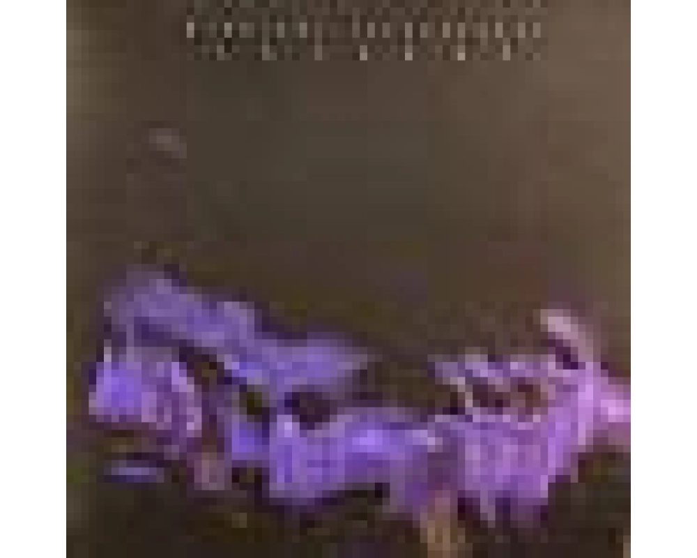 midnight juggernaugthts - shadows institubes