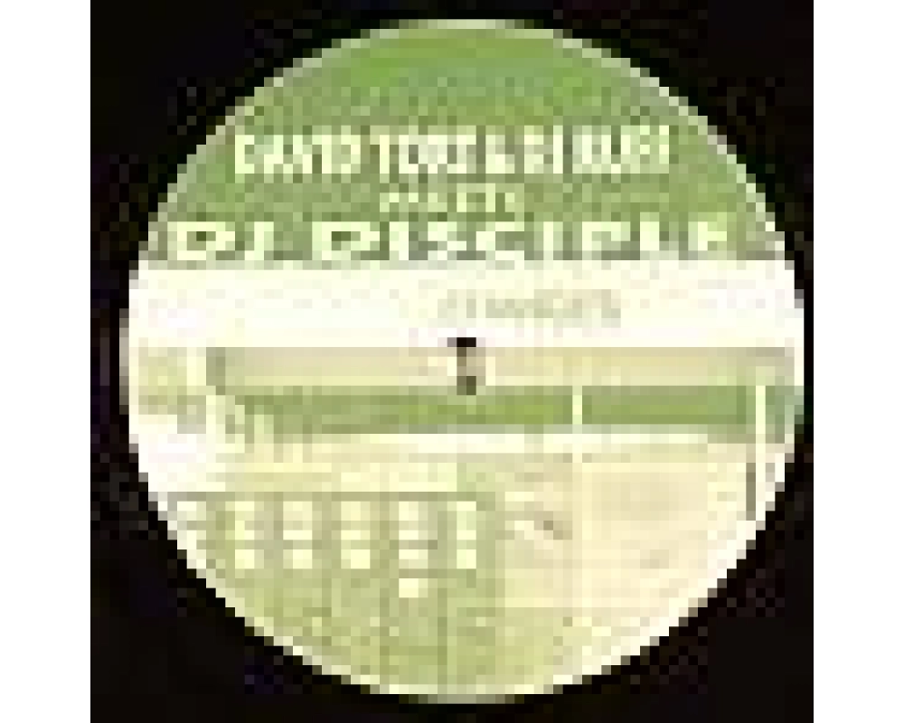 david tort & dj ruff meets dj disciple - changes
