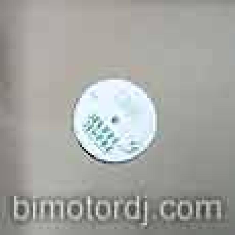 spunki spanko - an organic audio vibe