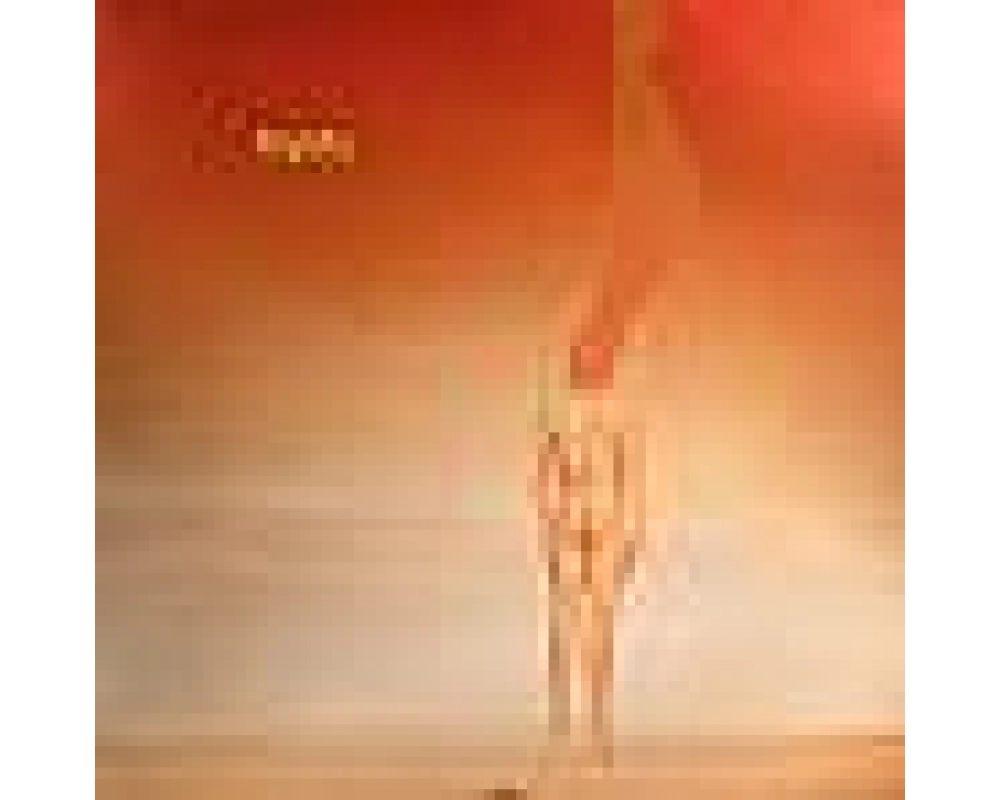 Mymy - Southbound - Pink Flamingos