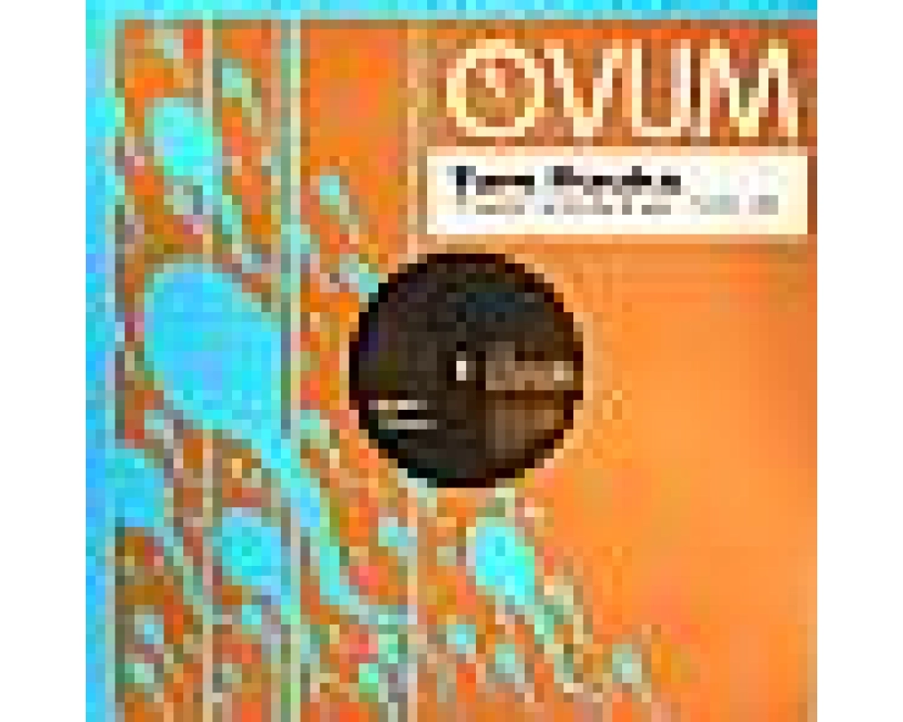 Tom Pooks - Trouble (Wink Edit - D Julz Remix)
