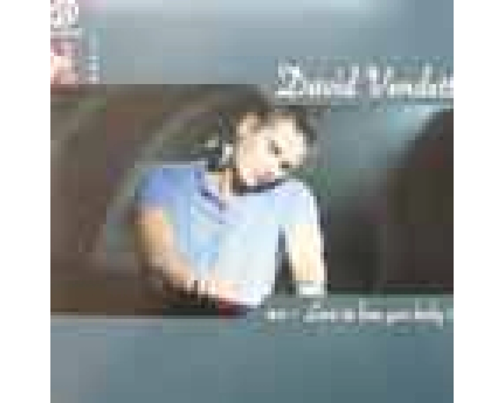 david vendetta - love to love you baby