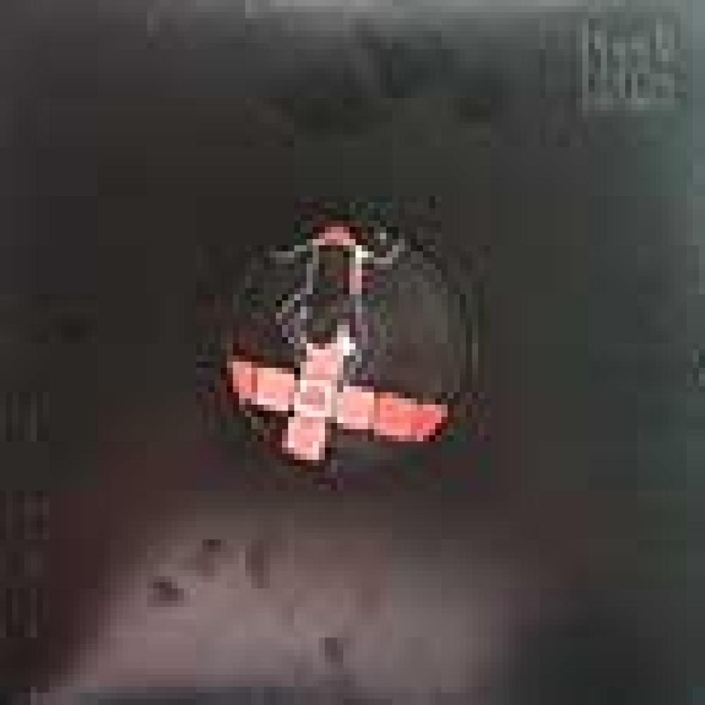 adjd - bring it back