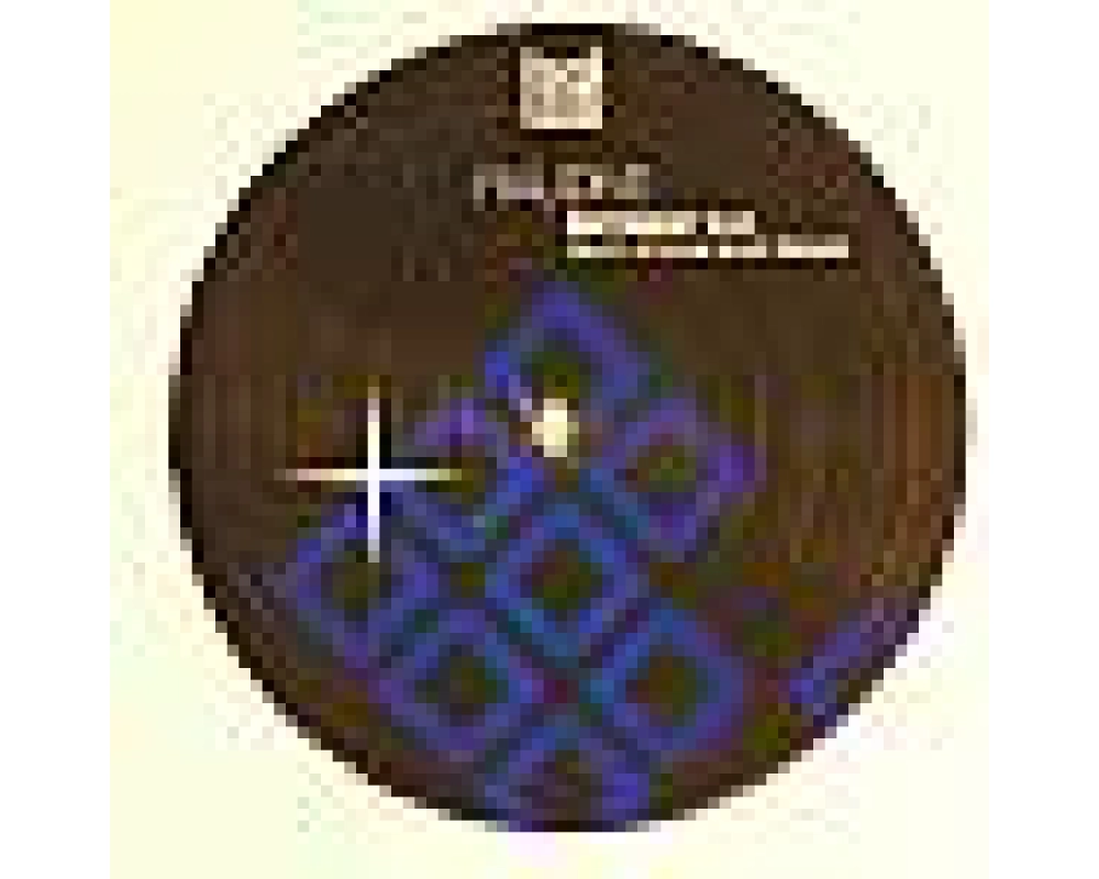 raudive - zeitgeist ep (Steve Bug Rmx)