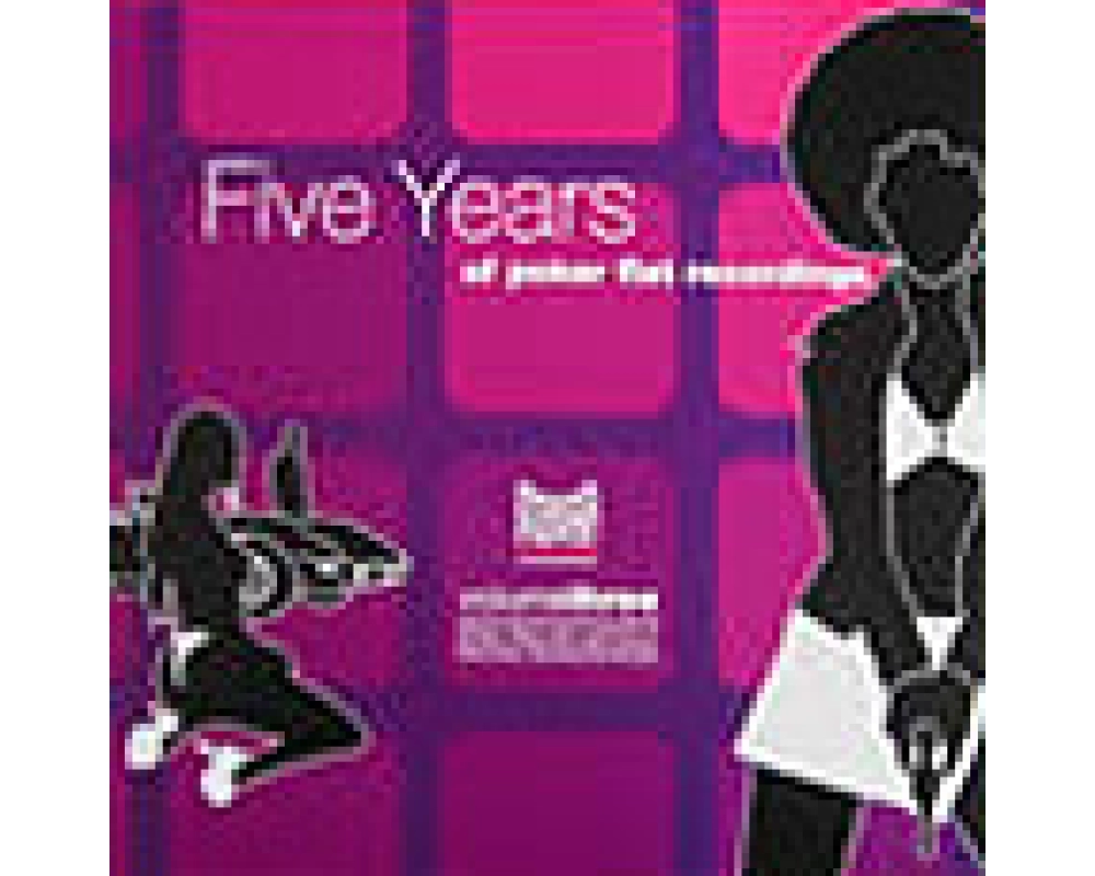 steve bug pres. 5 years of pokerflat - the 2lp - 7 new excls