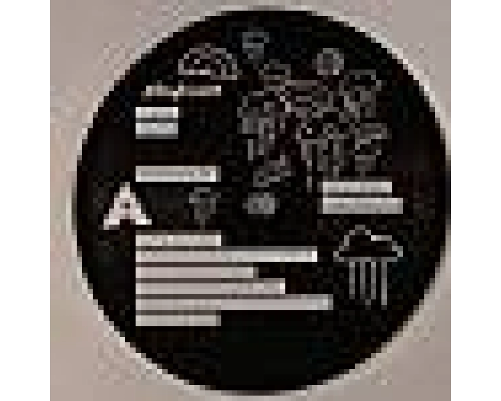holger ziske - dave k - rainshower ep