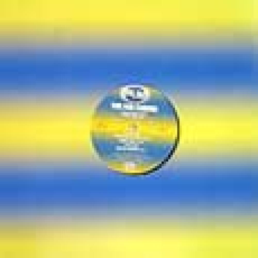 the big casino - hoes