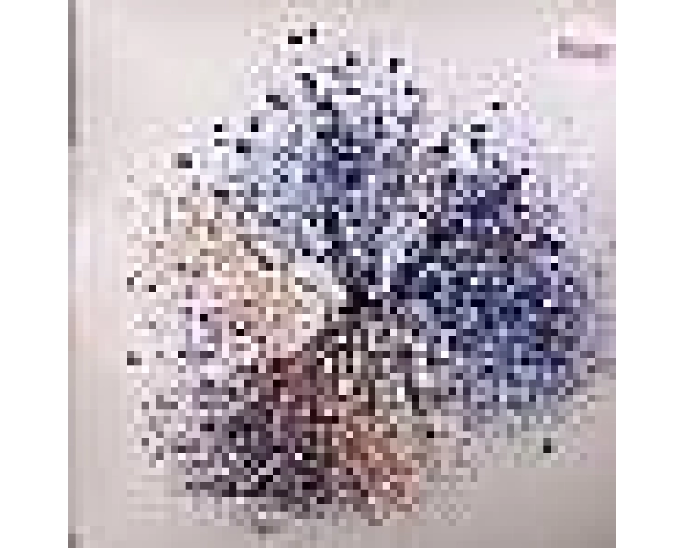 Mike Shannon - Memory Tree 2Lp