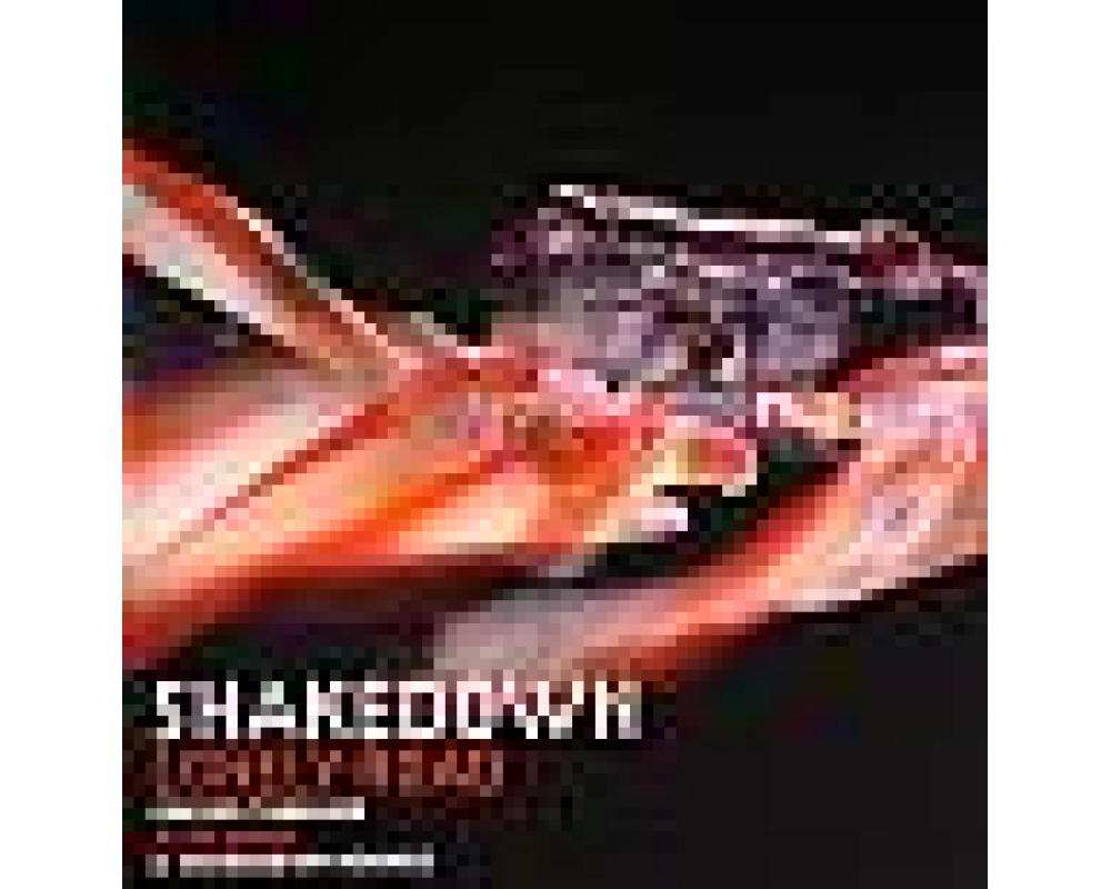 Shakedwon - lonely road (Alan Braxe Remix)