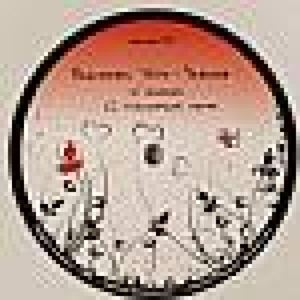 Blackfeel White - Silence