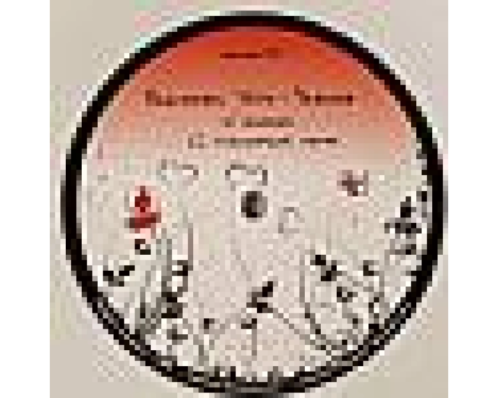 Blackfeel White - Silence