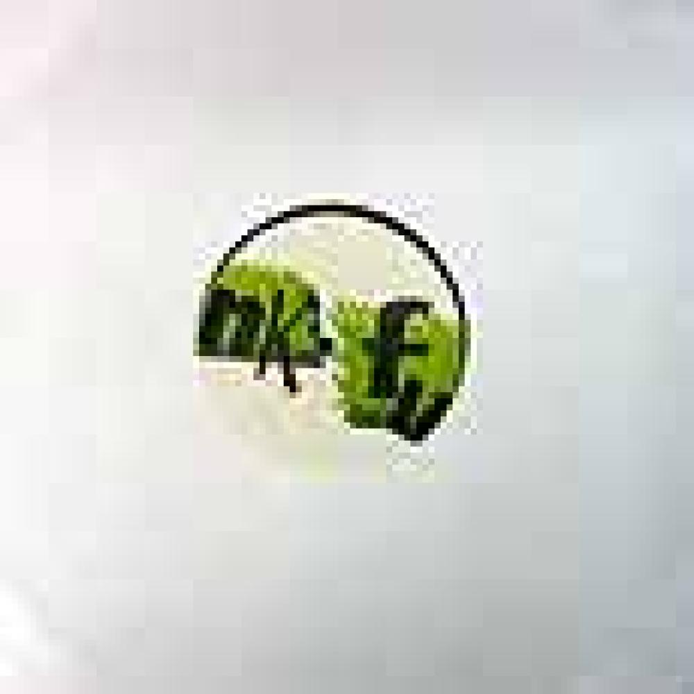 Paradox 3000 - Sound Of The Underground