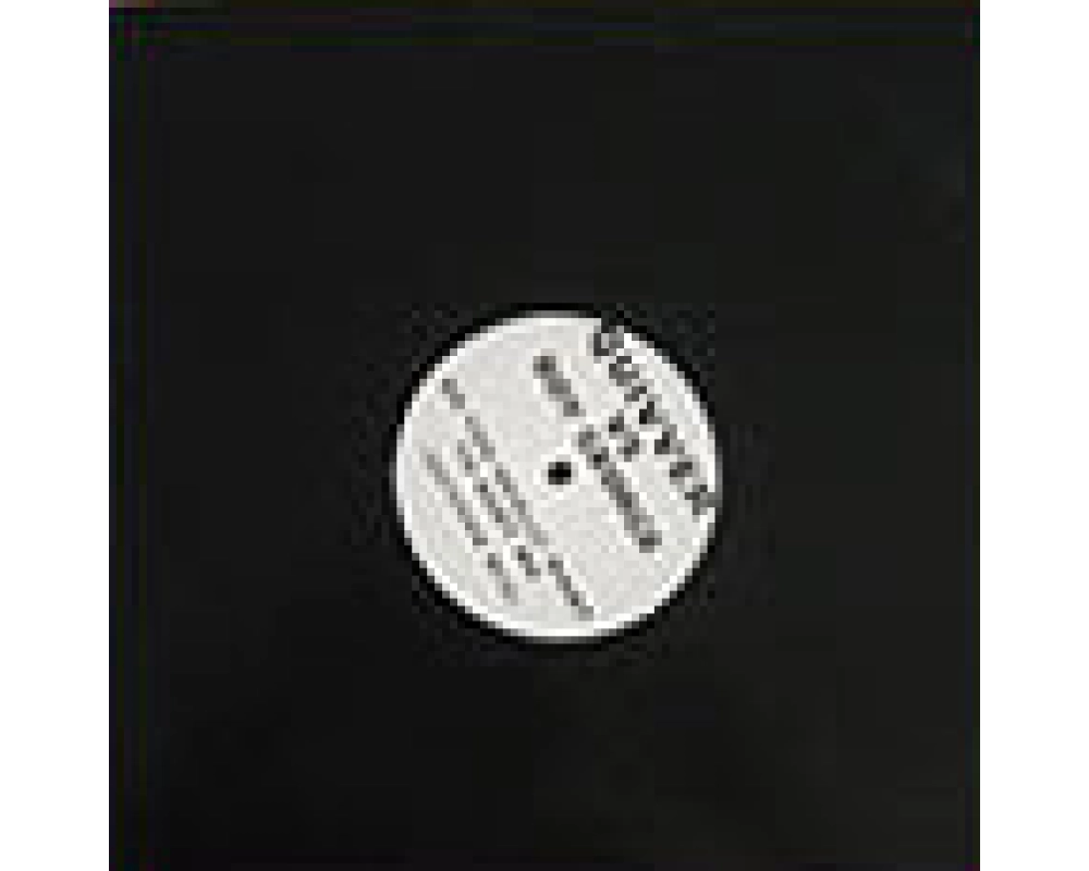 quivver vs boy george - do you really want