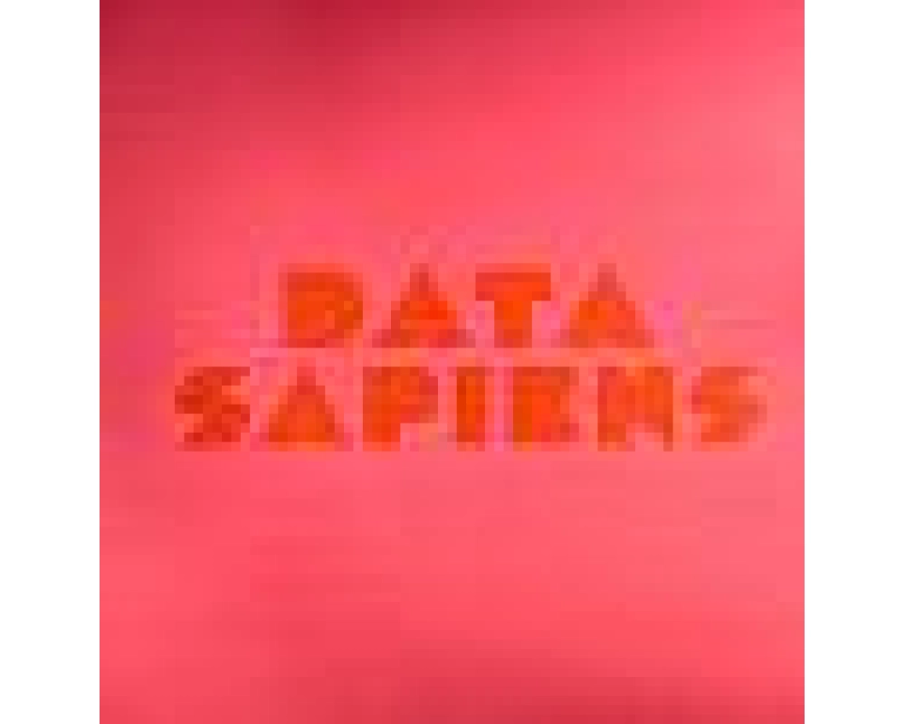 Disemi - Data Sapiens (Radio Slave Remix)