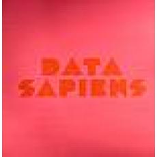 Disemi - Data Sapiens (Radio Slave Remix)