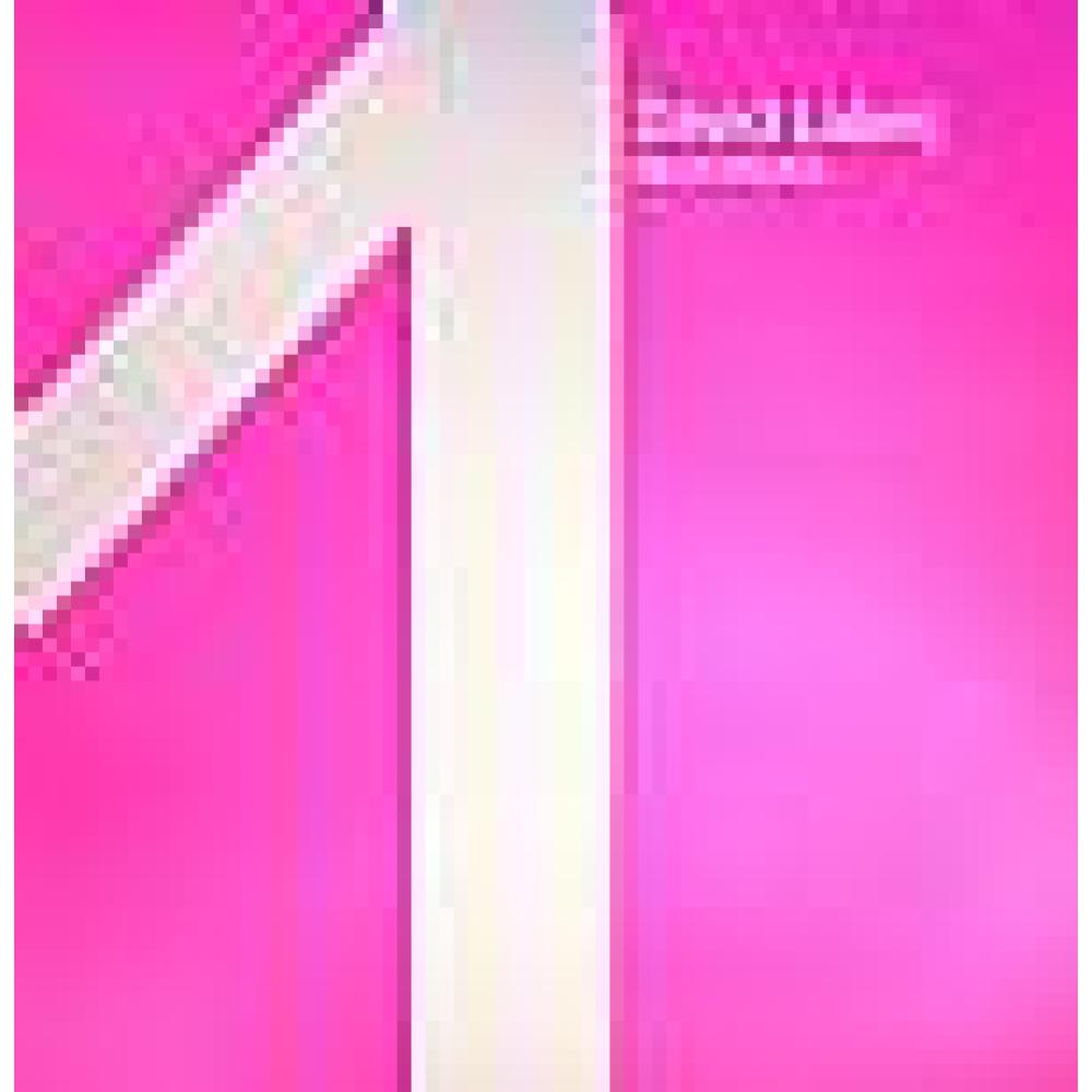 David Labeij - My 20 Models - Rental