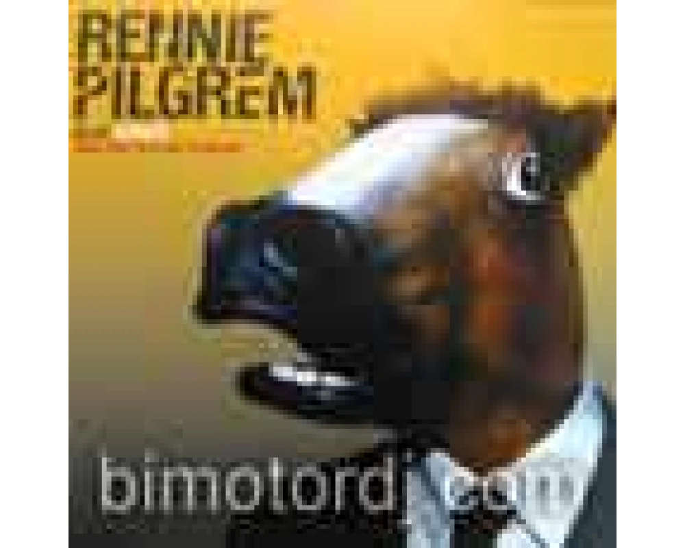 rennie pilgrem - celeb (remixes)