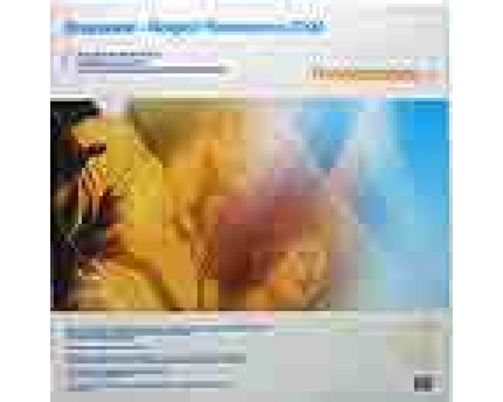 sharpside - belgian resistance 2004