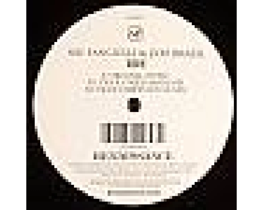 Nic Fanciulli & Zoo Brazil - Ide (Tiger Stripes Main Mix)