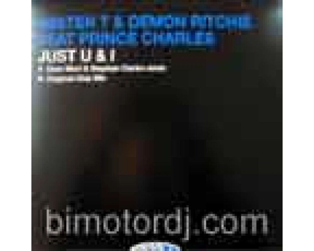 Mister T & Demon Ritchie feat Prince Charles - Just U